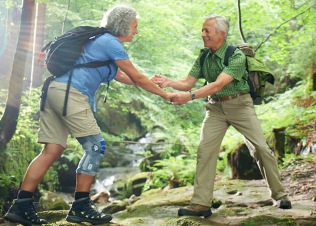 Model: Hermann 49283