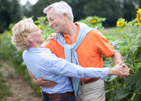 Model: Hermann 49293