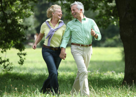 Model: Hermann 49300