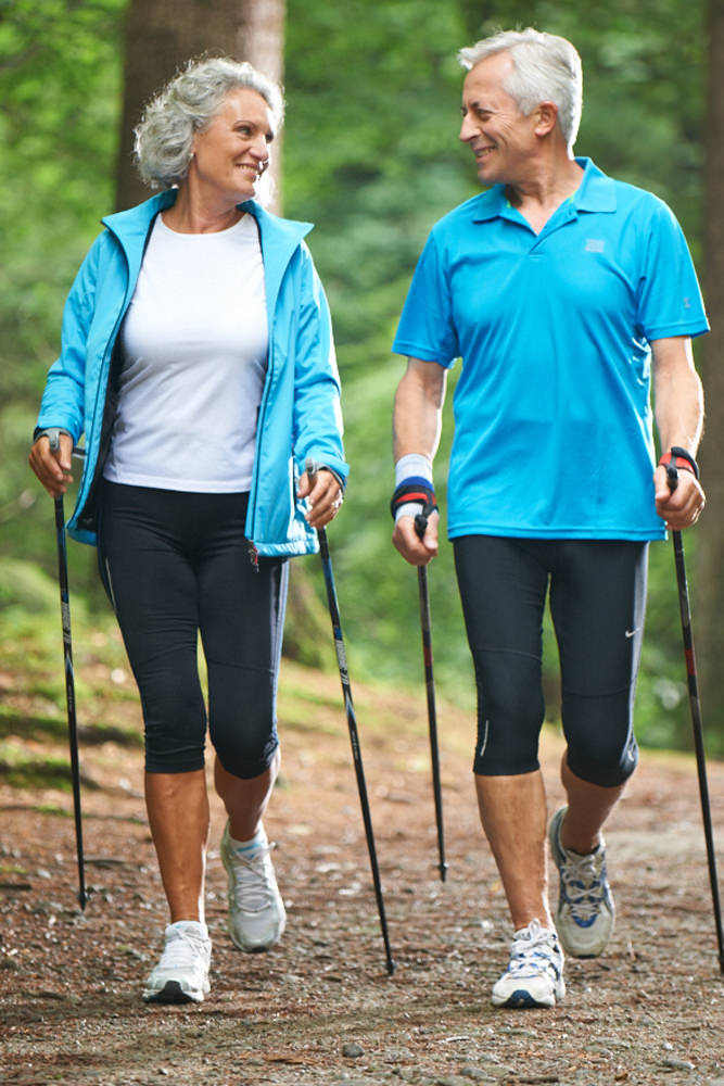 Model: Hermann 49303