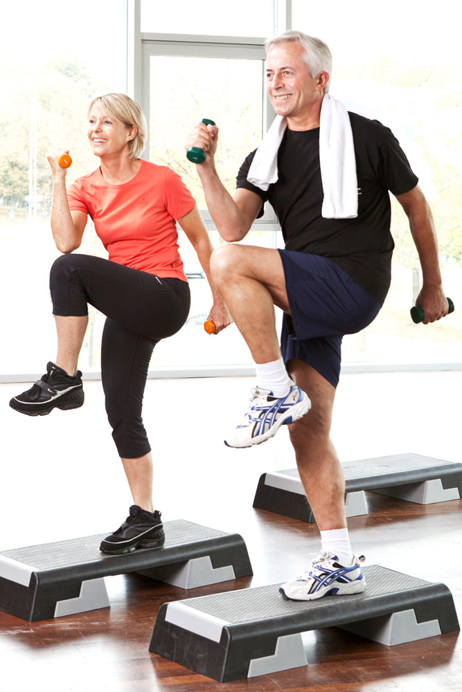 Model: Hermann 49310