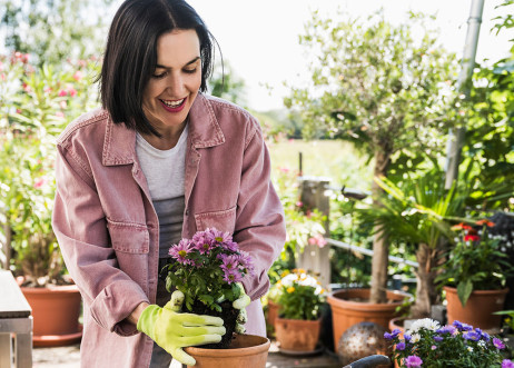 Model: Verena 114238