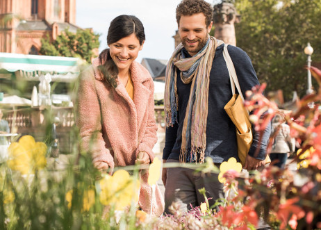 Model: Benedikt 77655