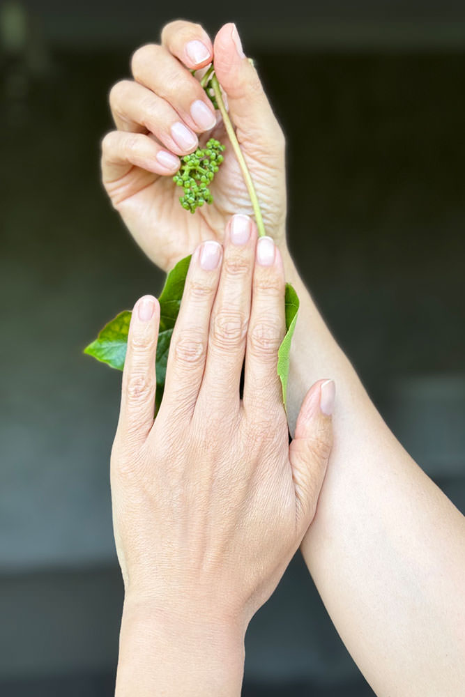 Model: Clarissa 113435