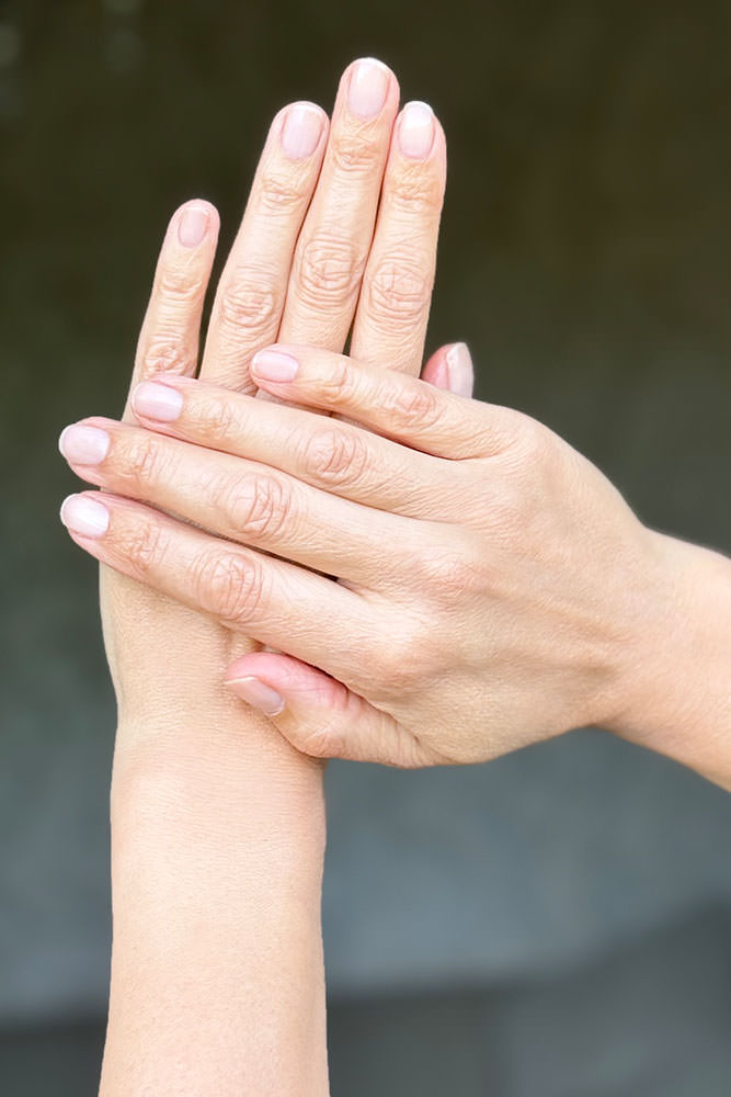 Model: Clarissa 113436