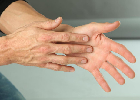 Model: Steffen 16017