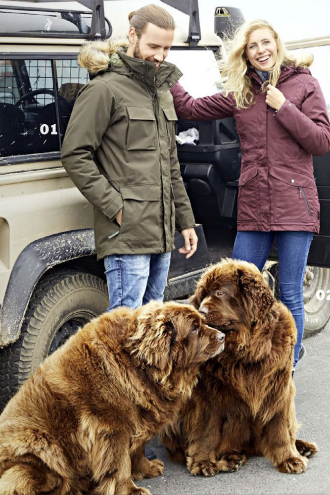 Model: Benjamin 69711