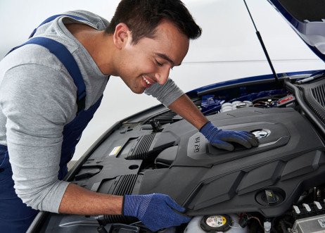 Model: Tristan 109271