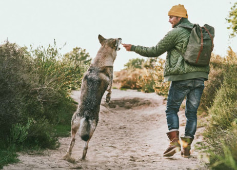 Model: Andreas 86914