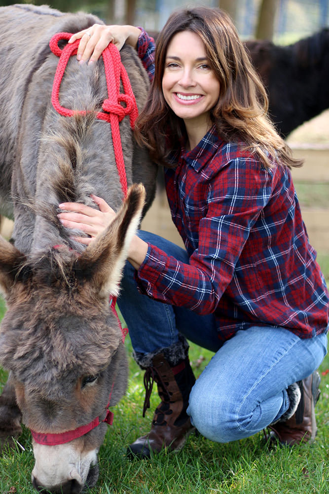 Model: Alexandra 84983