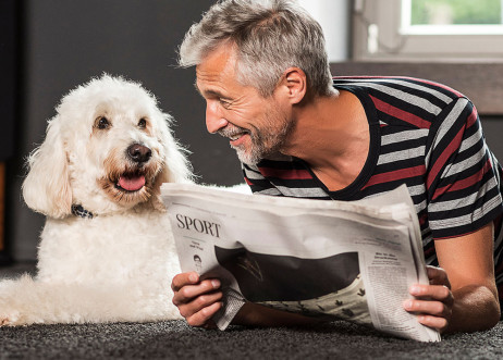 Model: Andreas 72579