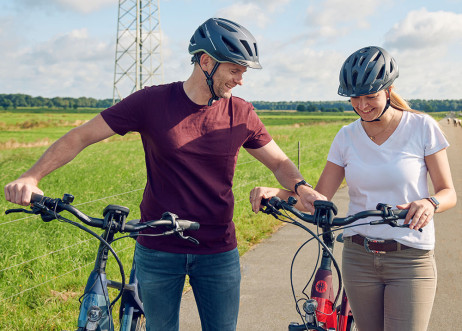 Model: Dennis 106185