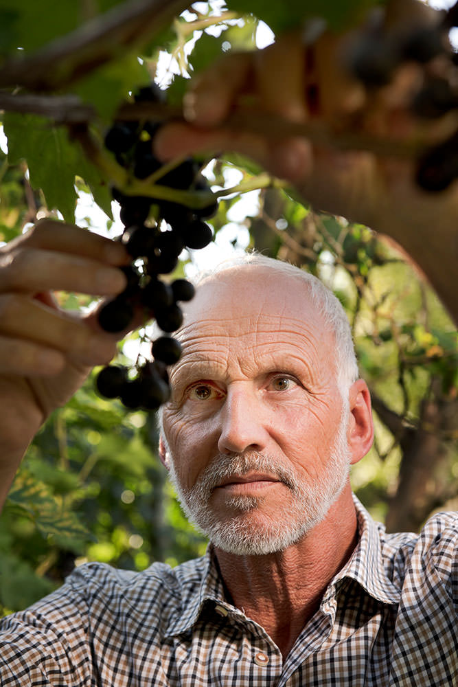 Model: Gerhard 103920