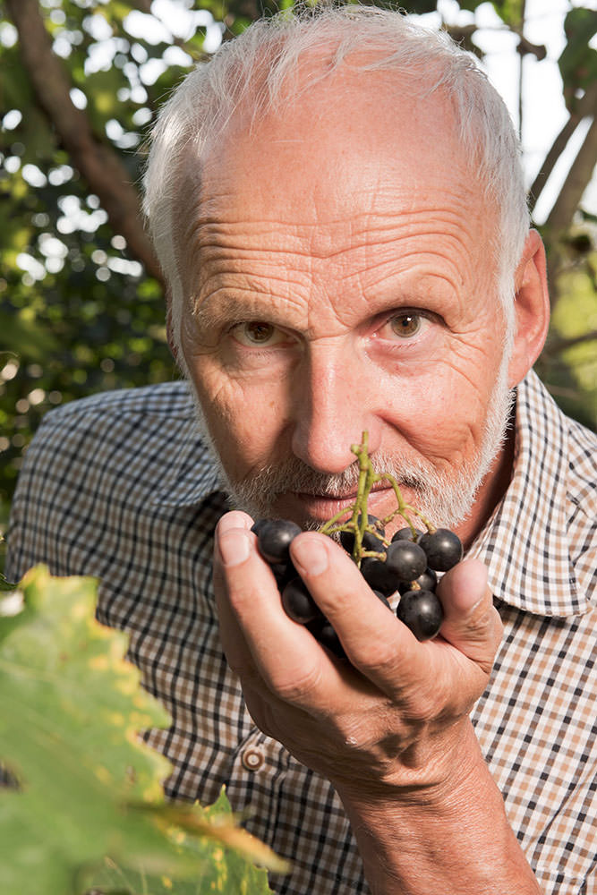 Model: Gerhard 103921