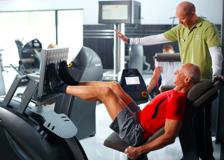 Model: Gerhard 17196