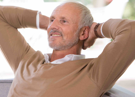 Model: Gerhard 48290