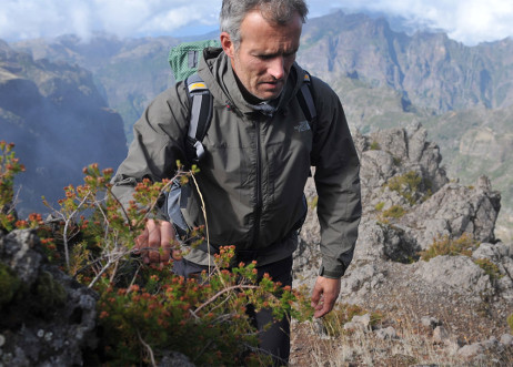 Model: Christoph 63447