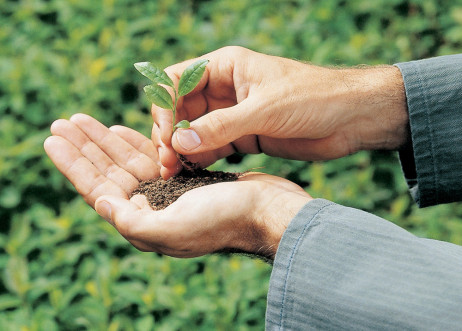 Model: Christoph 6234