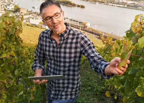 Model: Harald 102081