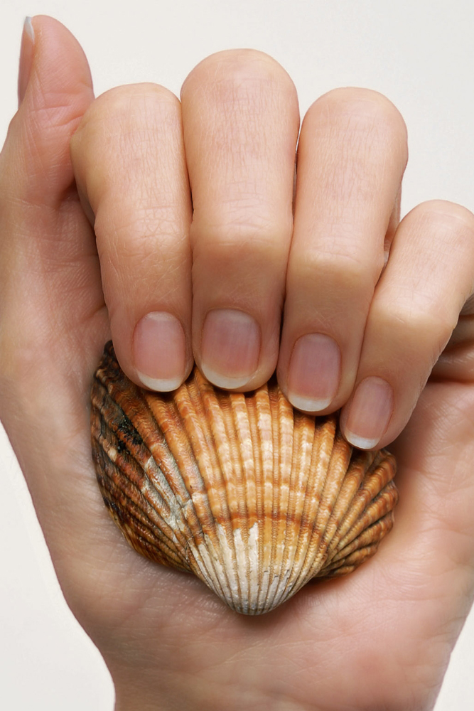 Model: Jennifer 9255