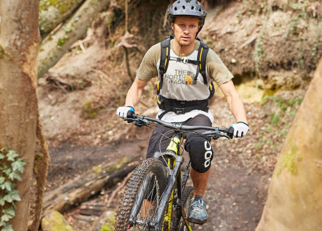 Model: Andreas 72207