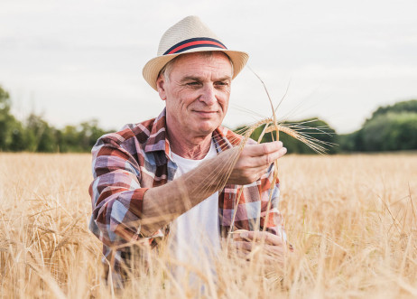 Model: Andreas 95971