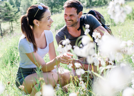 Model: Matthias 57293