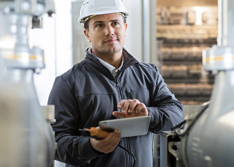 Model: Alfonso 69203