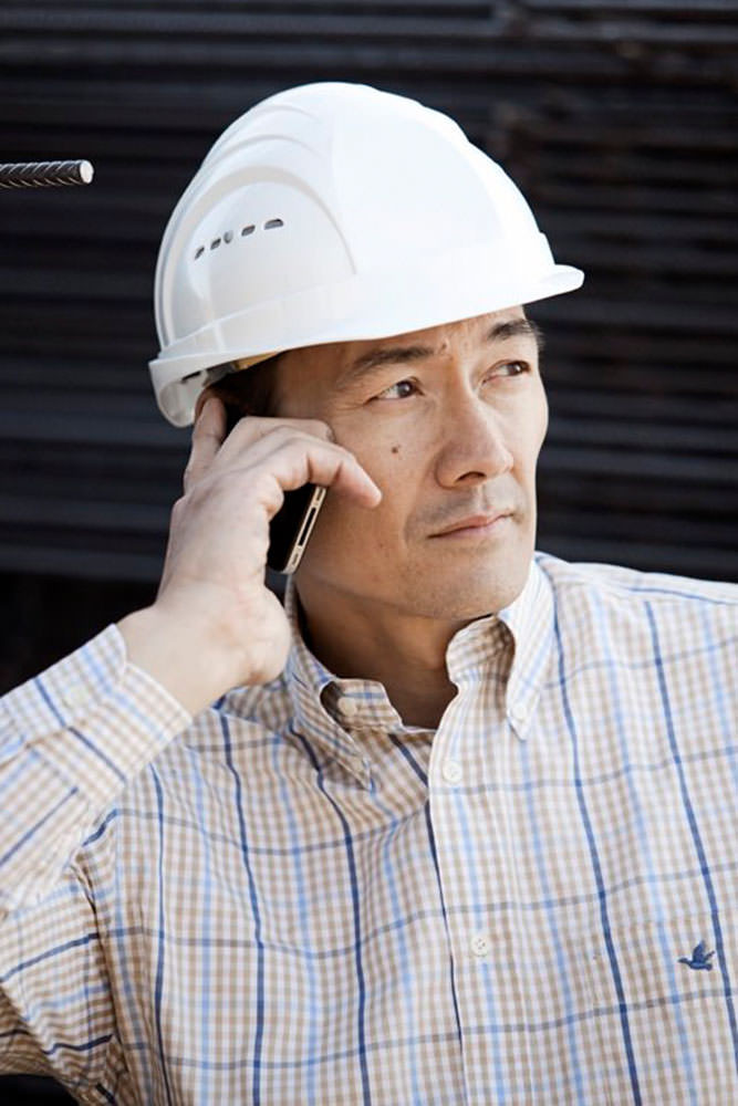 Model: Krishna 87333