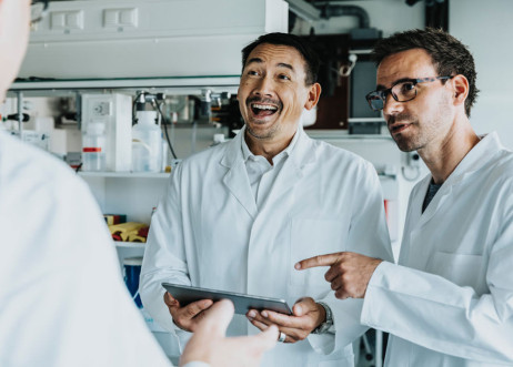 Model: Krishna 87339