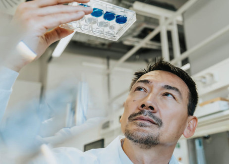 Model: Krishna 87343