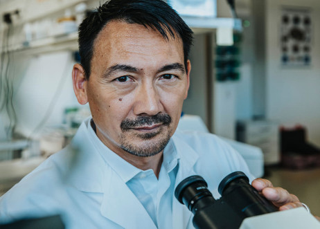 Model: Krishna 87811