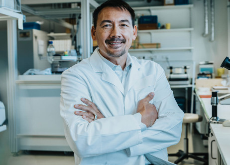 Model: Krishna 87817