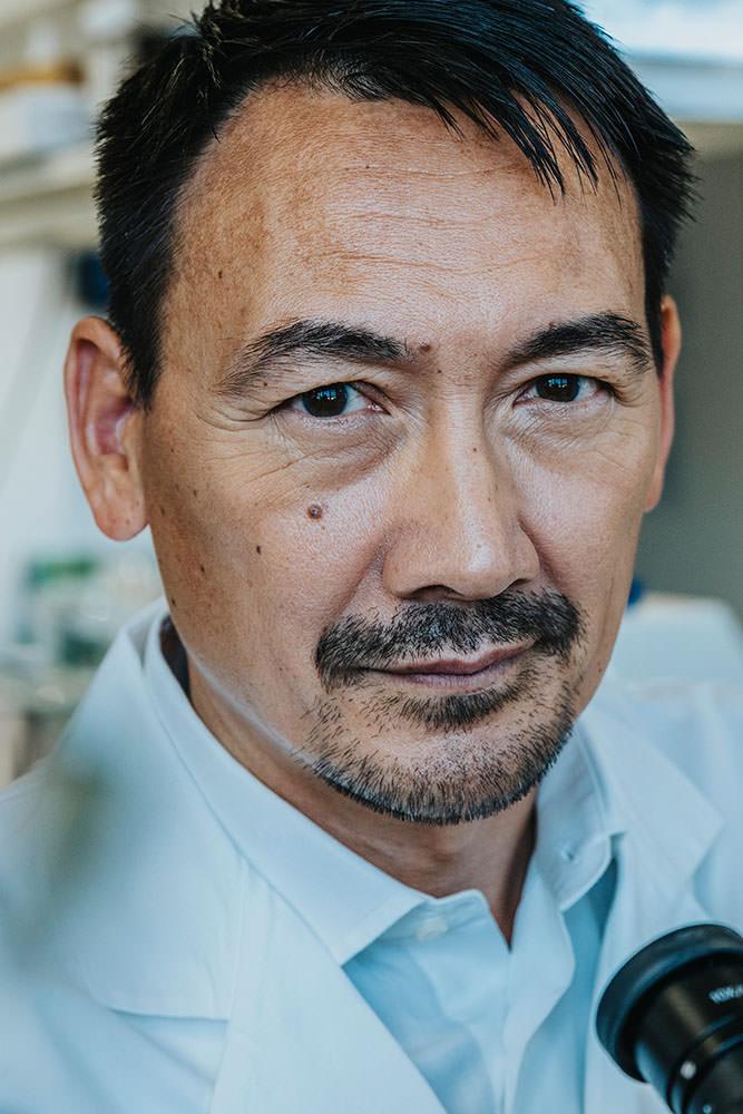 Model: Krishna 87818