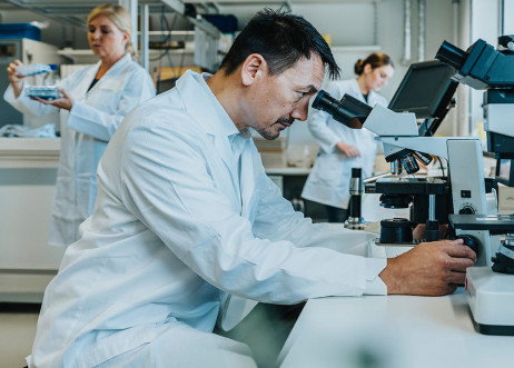 Model: Krishna 87825