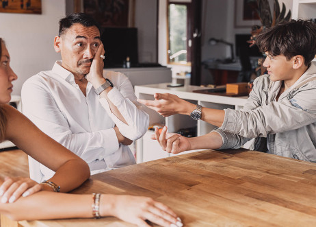 Model: Krishna 114330