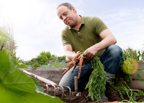 Model: Rüdiger 12048