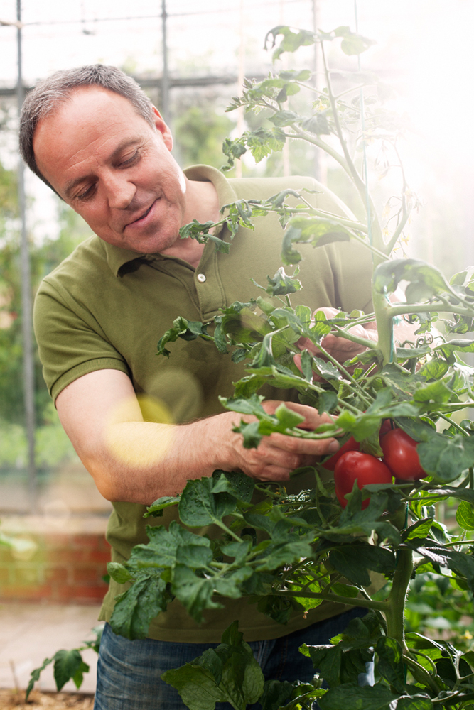 Model: Rüdiger 12055