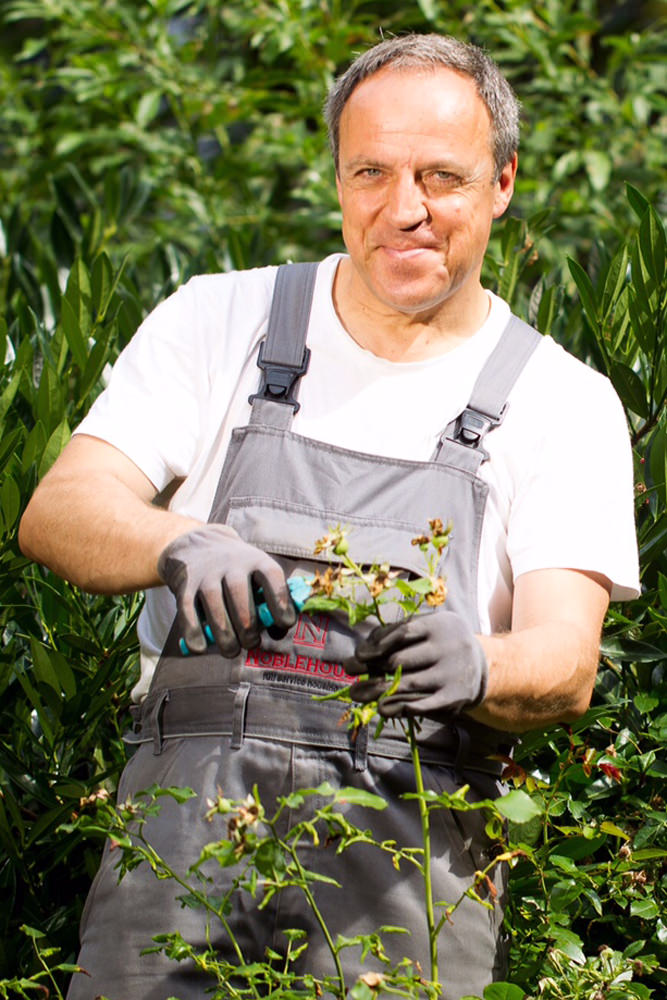 Model: Rüdiger 31239