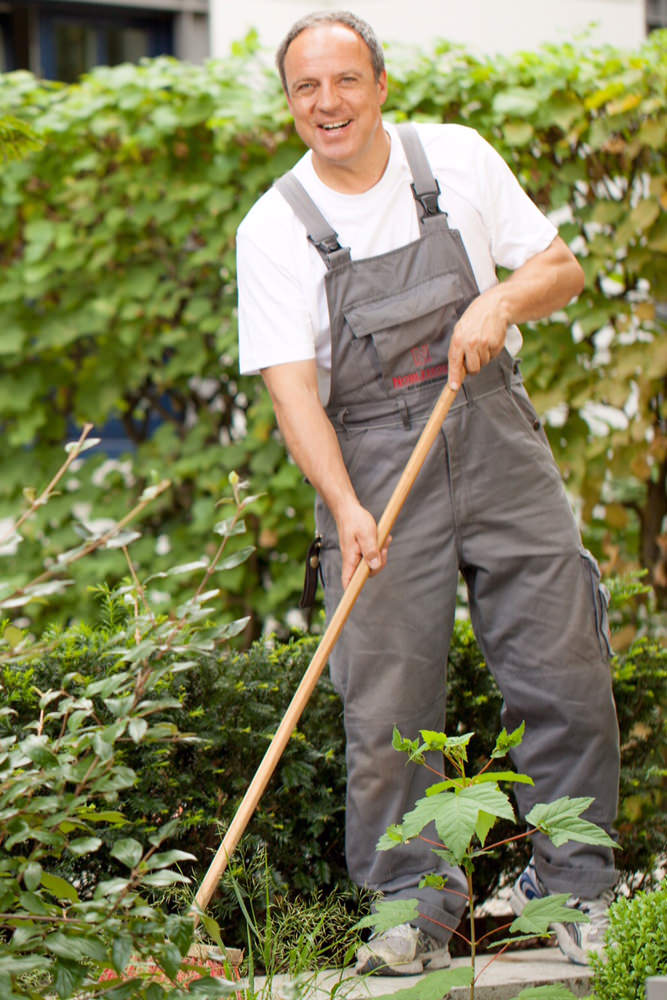 Model: Rüdiger 31240