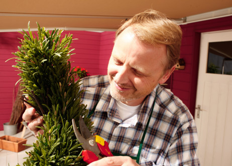 Model: Steffen 12333