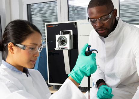 Model: Franklyn 88135