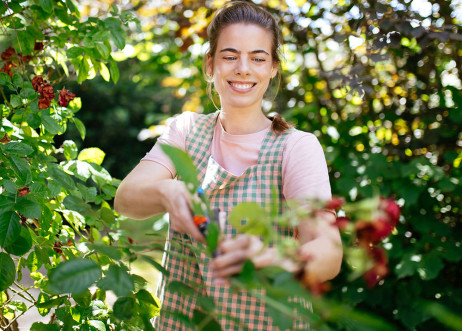 Model: Anisia 109818