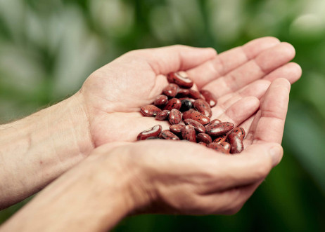 Model: Jochen 114616