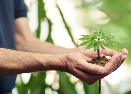 Model: Jochen 114617