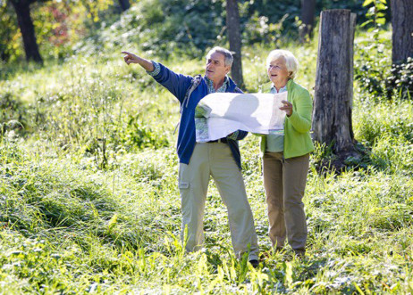 Model: Hellmuth 15962