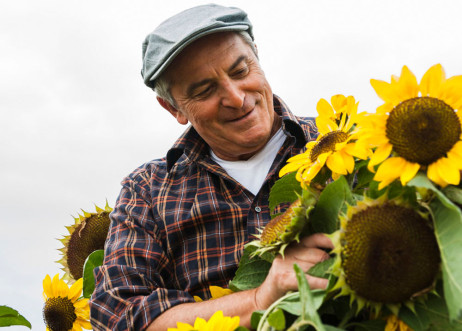 Model: Hellmuth 20040