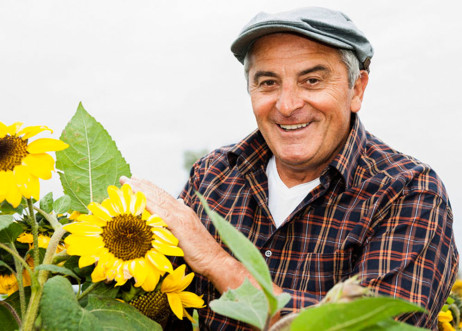 Model: Hellmuth 20041