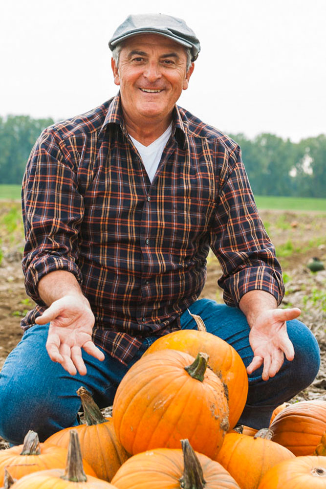 Model: Hellmuth 20042