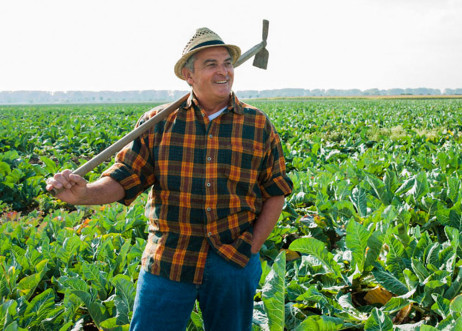 Model: Hellmuth 20044